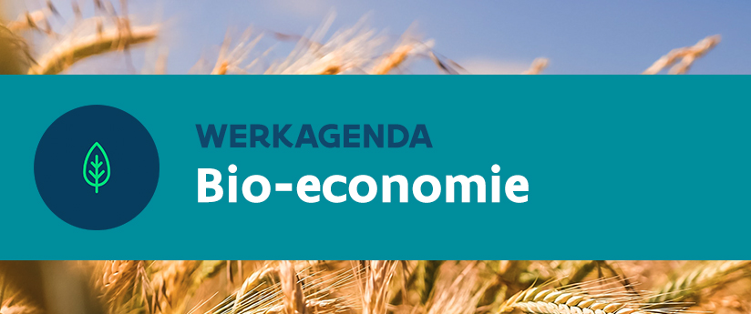 werkagenda waterkringlopen