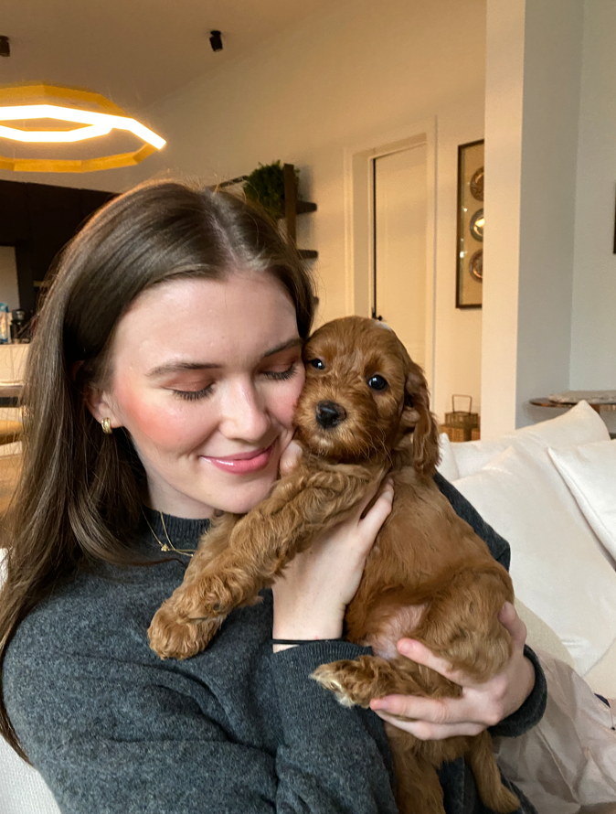 Ralphie als puppy