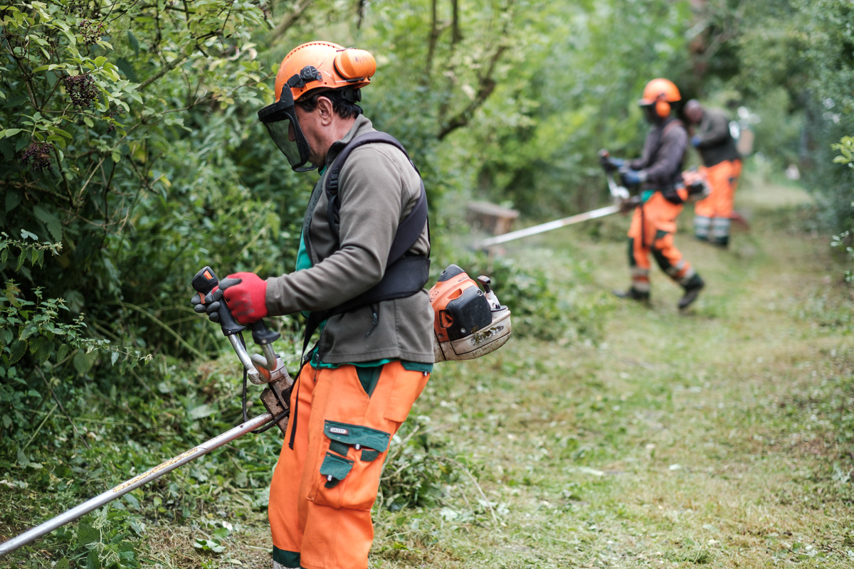 Pro Natura aan het werk